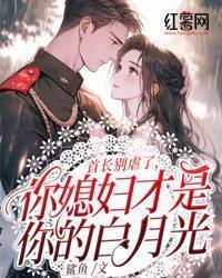 逆天世子妃全文免费阅读之沐小仙
